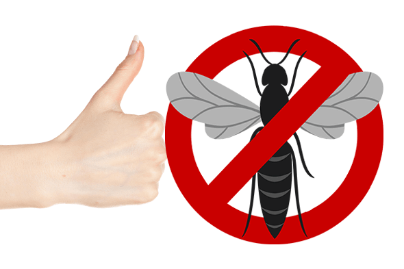 Nous éliminons les Guêpes