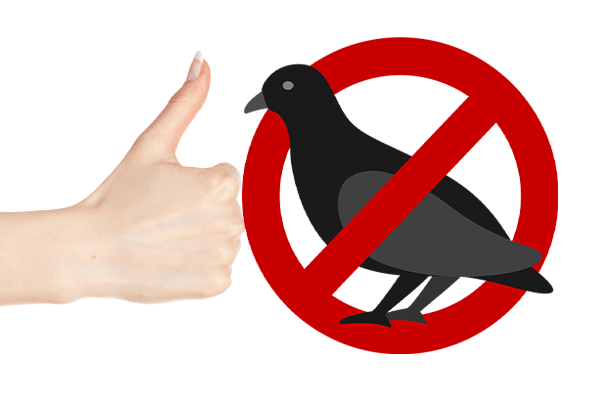 Nous repoussons les Volatiles